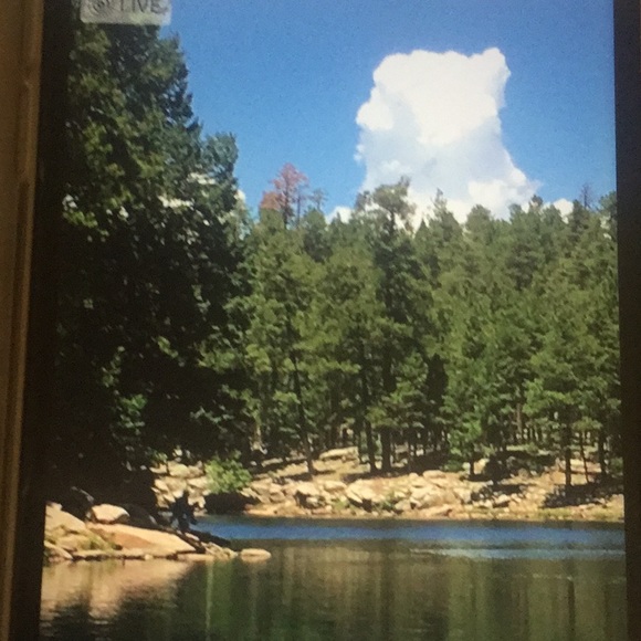 Meet your Posher, Pat - Picture 6 of 8